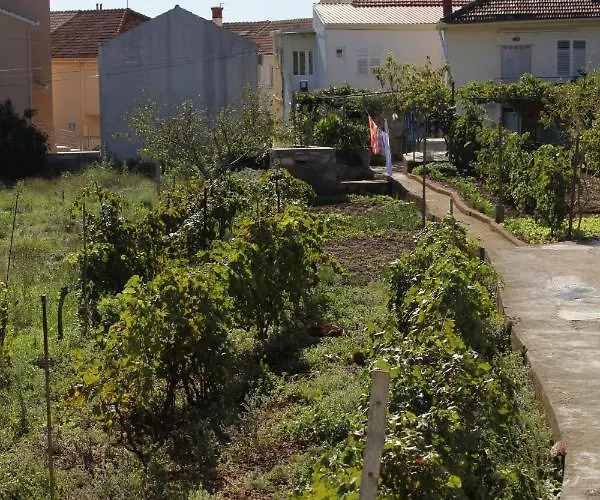 By The Sea Kukljica, Ugljan - 8402 Apartman Kukljica